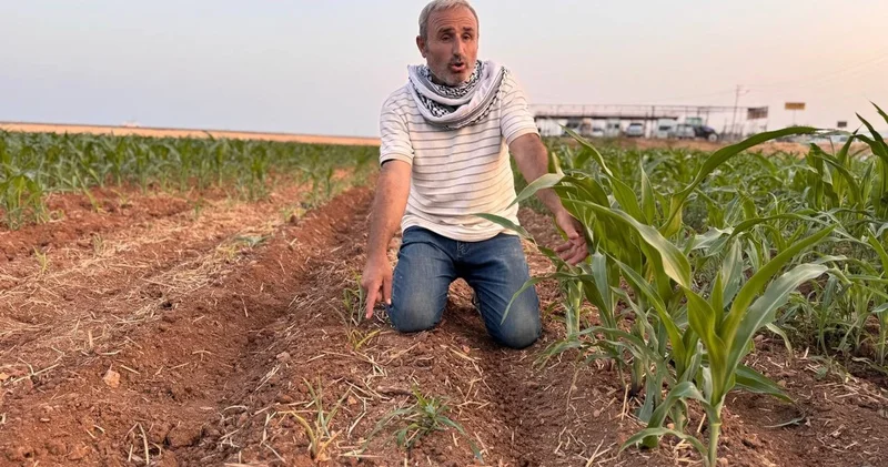İki tohum arasındaki büyüme farkı çiftçiyi kızdırdı: Konuyu mahkemeye taşıyacağım