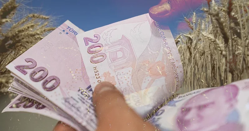 Gençlere bedelsiz arazi ve ucuz kredi hazırlığı! Bakanlıklara talimat iddiası