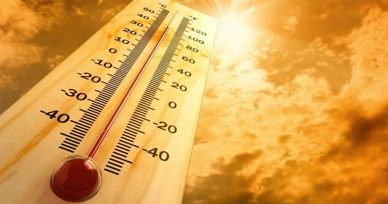 Ülke felaketi yaşıyor! Aşırı sıcaklar 1 haftada 264 can aldı
