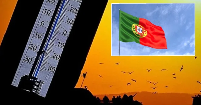 Portekiz’de aşırı sıcak alarmı: Gelecek hafta zor olacak Avrupa Haberleri