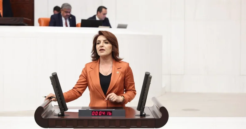 CHP li Gülcan Kış: Muhalefetin verdiği 1300 kanun teklifi gündeme alınmadı