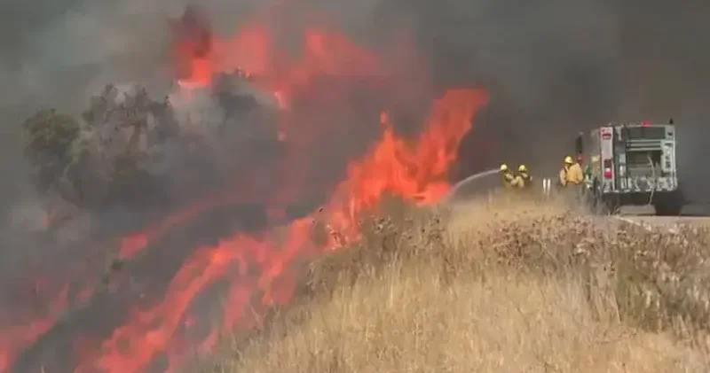 California’daki orman yangınında 12 bin hektar alan yandı