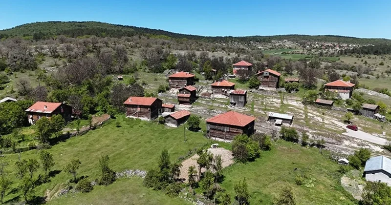 Köyüne dönene büyük fırsat! Tarım için arazi, oturmak için ev: İşte detaylar...