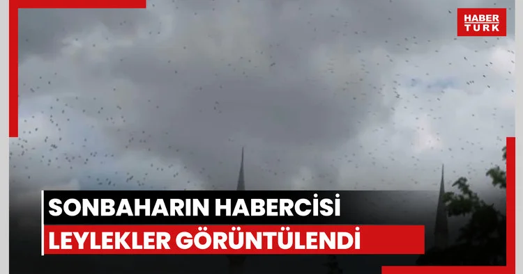 Sonbaharın habercisi leylekler görüntülendi