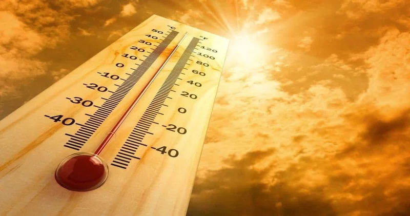 Portekiz’de sıcaklar yüzlerce can aldı: Haftaya yeni dalga geliyor