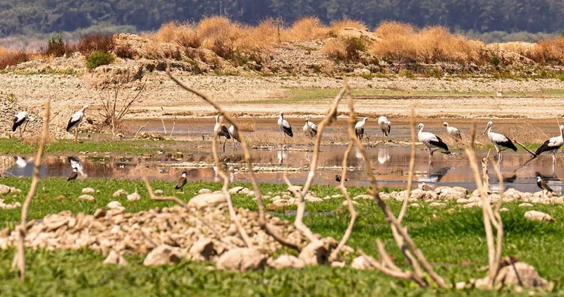 İzmir için acil çağrı yapıldı