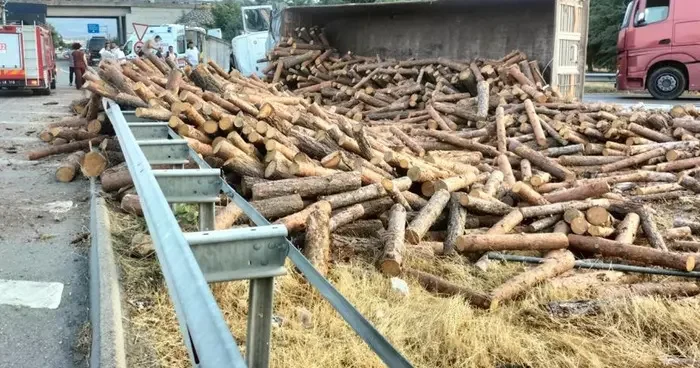 Yer: Amasya! Tomruk yüklü tır devrildi