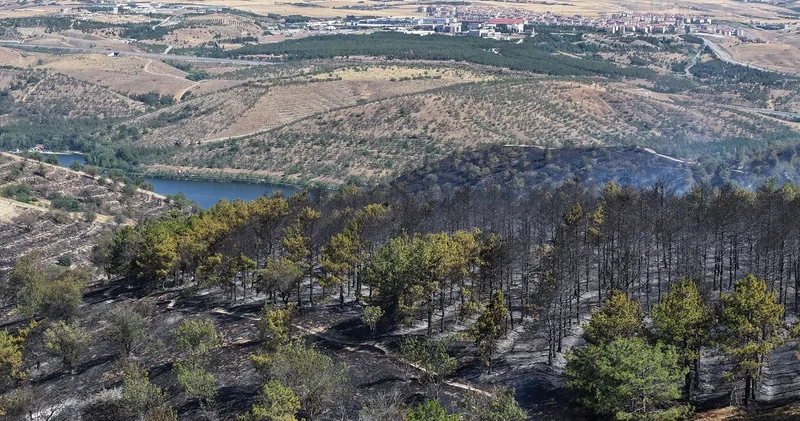 Yangınların ardından kök yanması tehlikesi