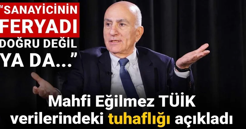 Mahfi Eğilmez TÜİK verilerindeki tuhaflığı açıkladı: Ya sanayicinin feryadı doğru değil ya da...
