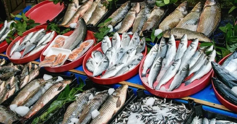 Tezgahlar hamsi, istavrit, palamut, çupra ile dolup taştı: İstanbul da balık fiyatları belli oldu Sözcü Gazetesi
