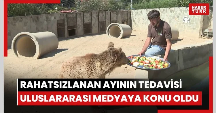 Çekmeköy Hayvan Rehabilitasyon Merkezinde rahatsızlanan ayının tedavisi uluslararası medyaya konu oldu