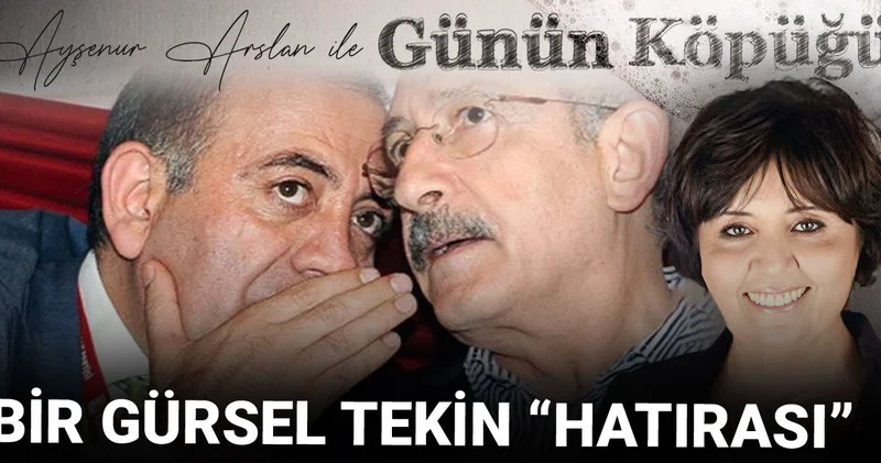 Bir Gürsel Tekin hatırası