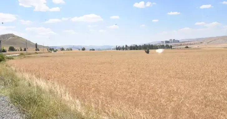 İşlenmeyen arazilerin kiralanması modeli kasımda hayata geçirilecek