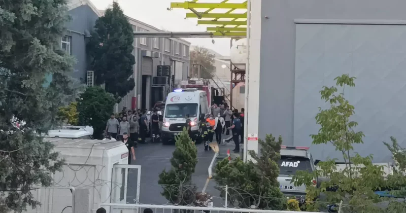 Korkunç olay, kimyasal kazana düştüler! Acı haber geldi...