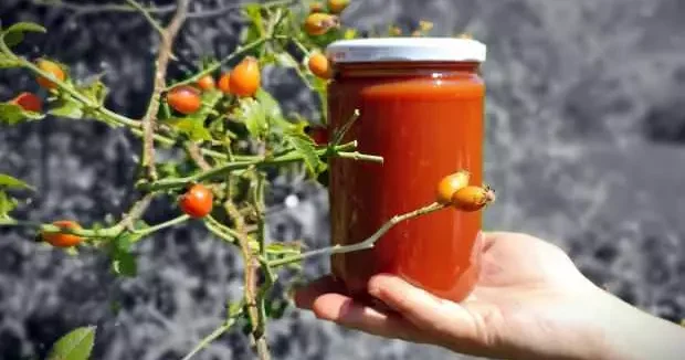 Erzincan haberleri Doğada kendiliğinden yetişiyor! 100 gramı bir kasa portakala eşdeğer 03 Eylül 2025