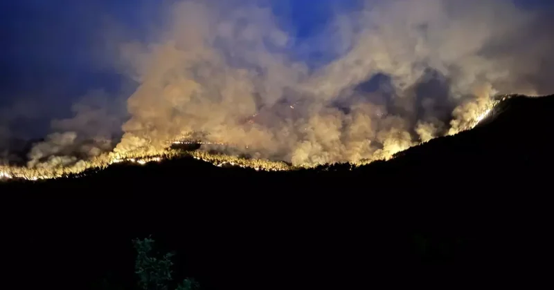 Kastamonu Karabük sınırında süren yangının kokusu Ankara ya ulaştı