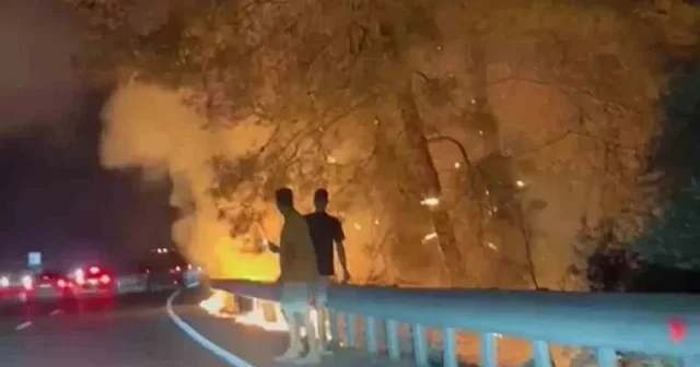 Muğla nın Sakar rampasında orman yangını Muğla Haberleri
