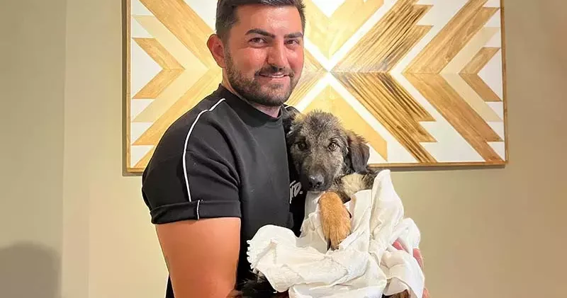 Trafik kazasında felç kalan yavru köpek Nazlı yı tedavi ettirip sahiplendi