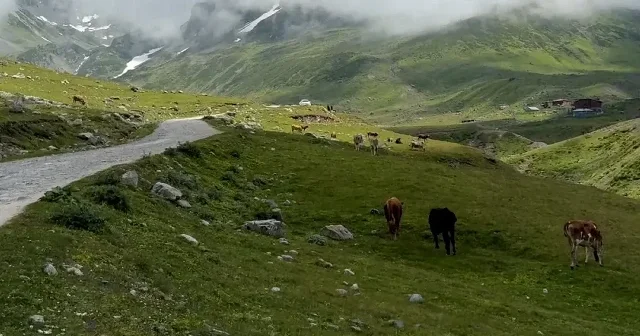 Kaçkarların zirvesinde saklı cennet: Avusor Yaylası ve gölü VİDEO İZLE