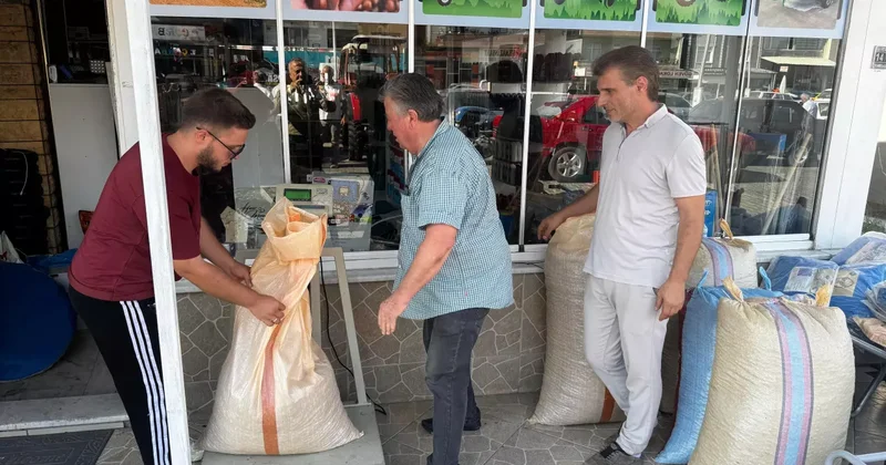 Rekolte düşünce fındık fiyatları pik yaptı