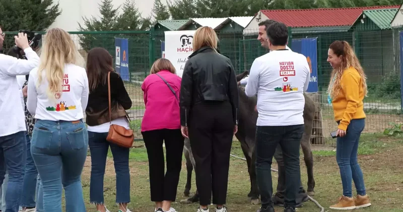 ‘Hayvan Dostu Eczane’ projesi ile sokak hayvanları için 1 ton mama bağışı