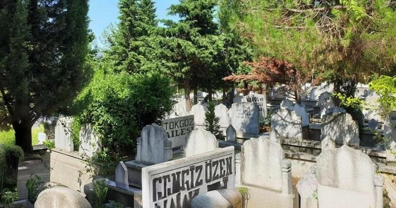 Mezarlıktaki ağaçları satışa çıkardılar! 4 bin 566 ağaç kesilecek