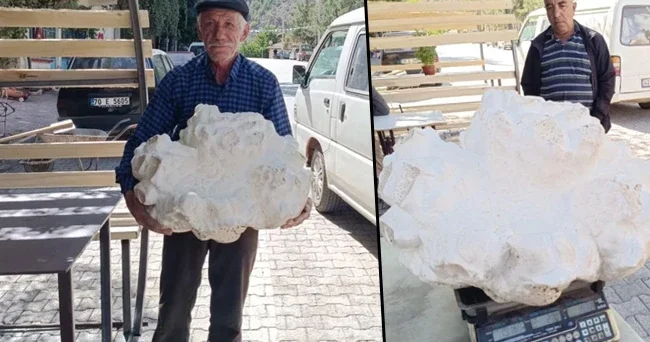 Yürüyüş yaparken buldu, alıp doğruca köyüne gitti! Tam 19 kilo... Böyle bir sürprizle karşılaşacağımı düşünmedim