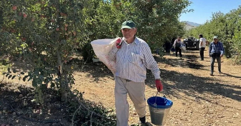 1 ay sürecek hasat başladı: 50 çeşit var, üretimde lider Sözcü Gazetesi