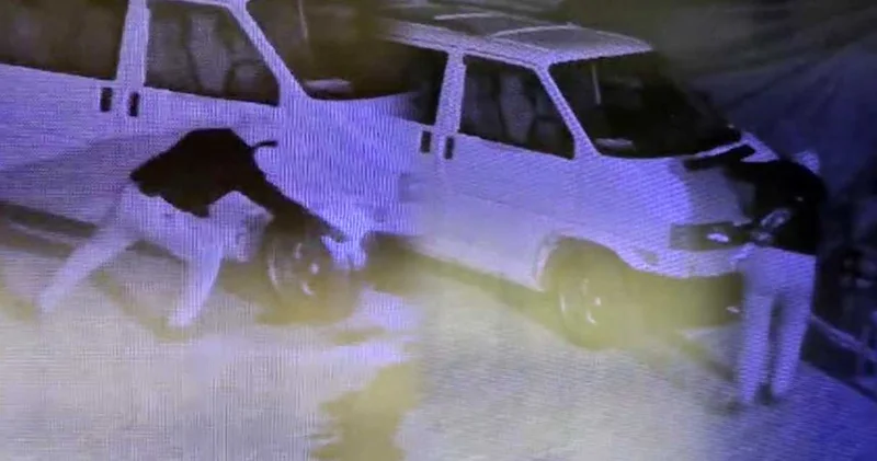 Isparta’da akılalmaz olay! Maskeli şahıs 4 aracı kundaklayıp kaçtı
