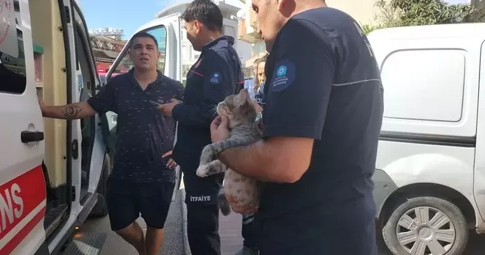 Antalya da yangın: Ekipler kediyi kurtardı, evde ise maddi hasar oluştu