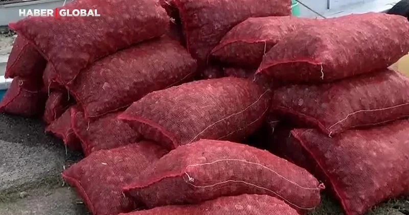 Trabzon da bu sefer 50 çuval çıktı, değeri 10 milyon dolar!