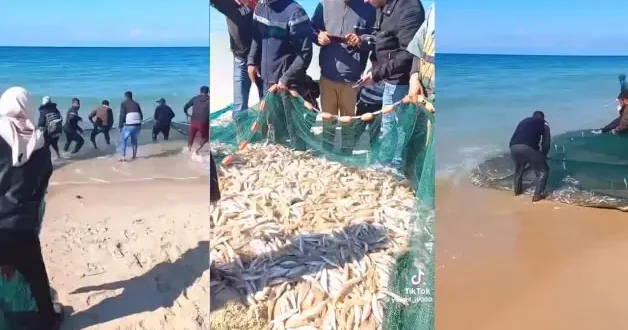 Gazze de sahilde Sumud Filosu bereketi! Katil İsrail ordusunun dikkati dağılmışken...