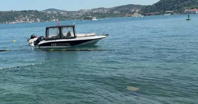 Ölü yunus Bebek sahilinde karaya vurdu: Çöp konteynerine atıldı İstanbul Haberleri