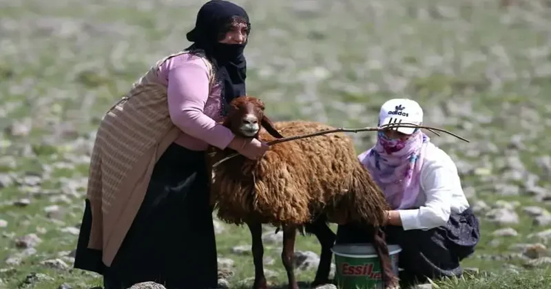 Anne bir karar verdi, hayatları değişti…