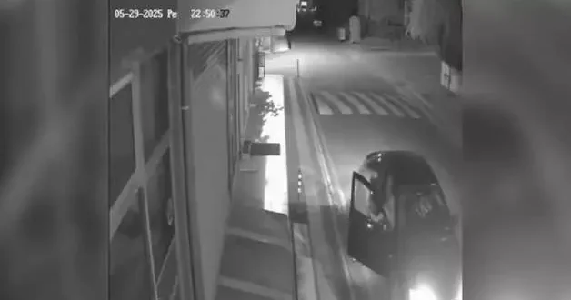Sokak köpeklerini gören genç camdan aracın içine atladı