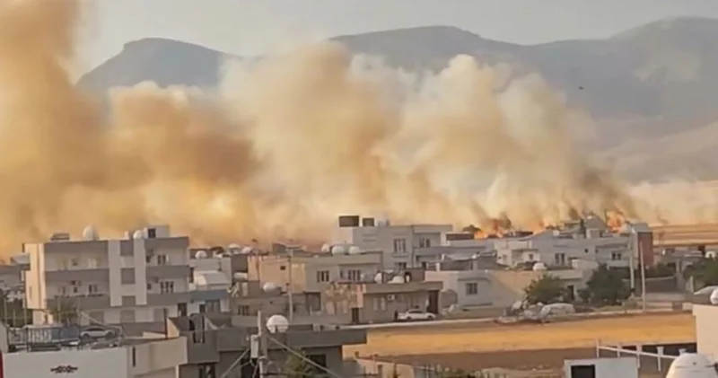 Mardin de 350 dönüm buğday ekili alan yandı Güncel haberler