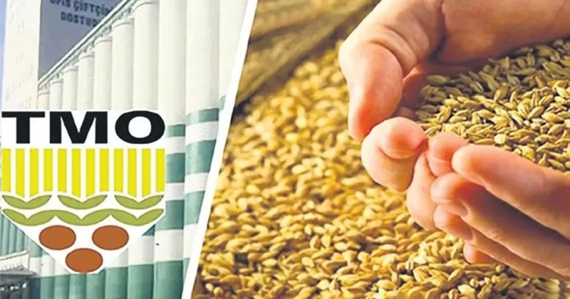 Buğday 13.500, arpa ise 11 bin TL’den alınacak