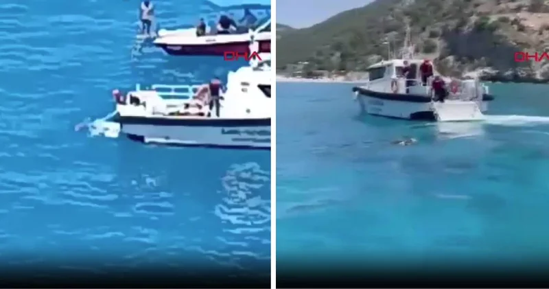 Denizde dalış yapmak istedi! Boğularak can verdi