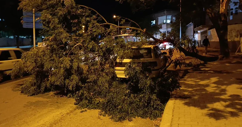 Kahramanmaraş ta park halindeki otomobilin üzerine ağaç devrildi
