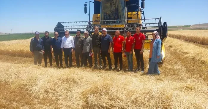 Karapınar’da hububat hasadı devam ediyor