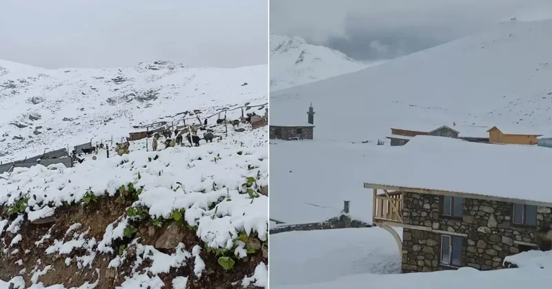 Üç ilimize temmuz ayında lapa lapa kar yağdı