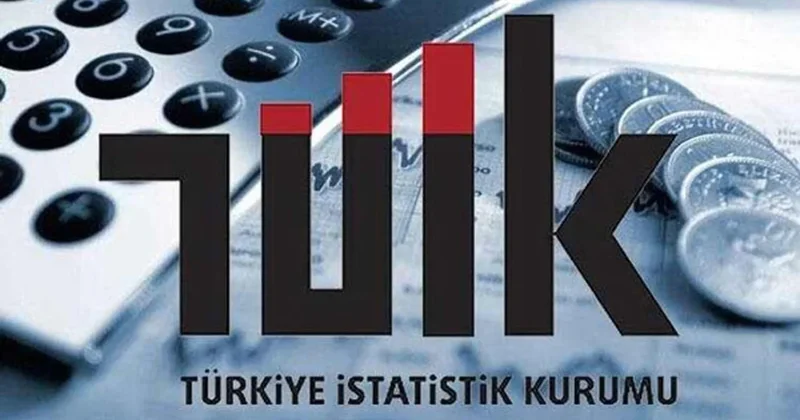 CHP li Gülcan Kış: TÜİK makyaj yapıyor, halk sofrada aç kalıyor! Sözcü Gazetesi