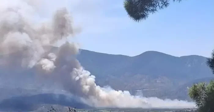 Milas Pınarcık’ta makilik ve zeytinlik alan yangını