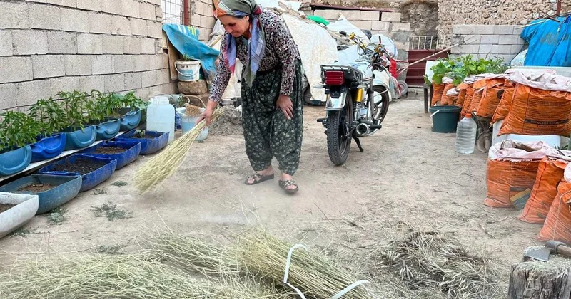 Babaannesinden öğrendiği ot süpürgesi geleneğini yaşatıyor
