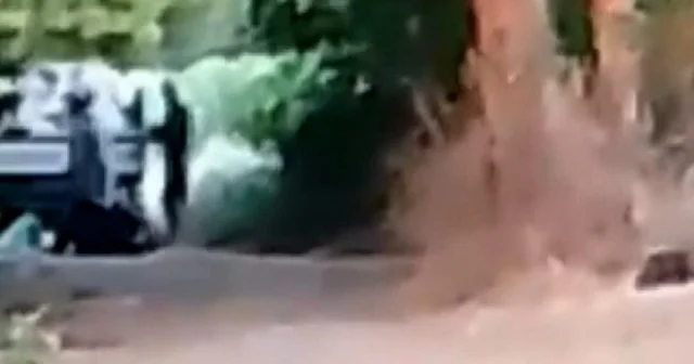 Böyle vicdansızlık görülmedi: Kamyonetin arkasına bağladığı hayvanı yol boyunca sürükledi VİDEO İZLE