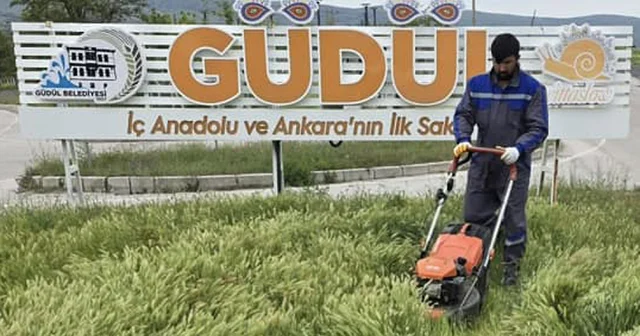 Güdül de haşereyle mücadele için ilaçlama yapılıyor Ankara Haberleri