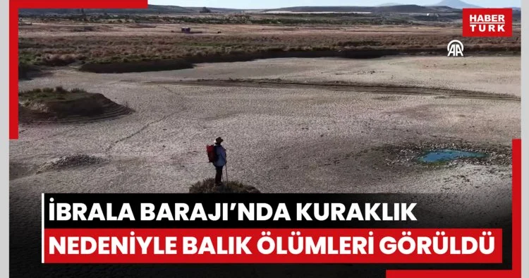 İbrala Barajı’nda kuraklık nedeniyle balık ölümleri görüldü