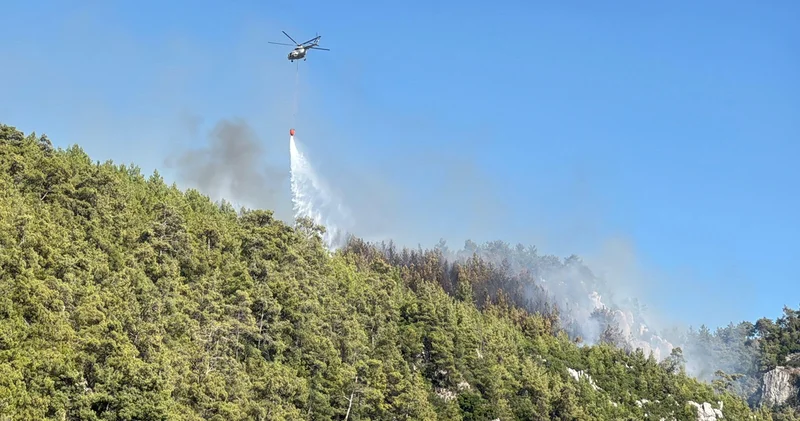 Muğla da orman yangını: Belediyede tüm izinler iptal edildi