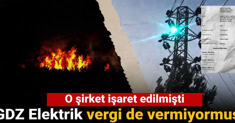 İzmir yangınlarında o şirket işaret edilmişti: GDZ Elektrik vergi de vermiyormuş