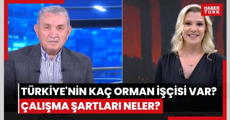 Türkiye nin kaç orman işçisi var? Çalışma şartları neler?